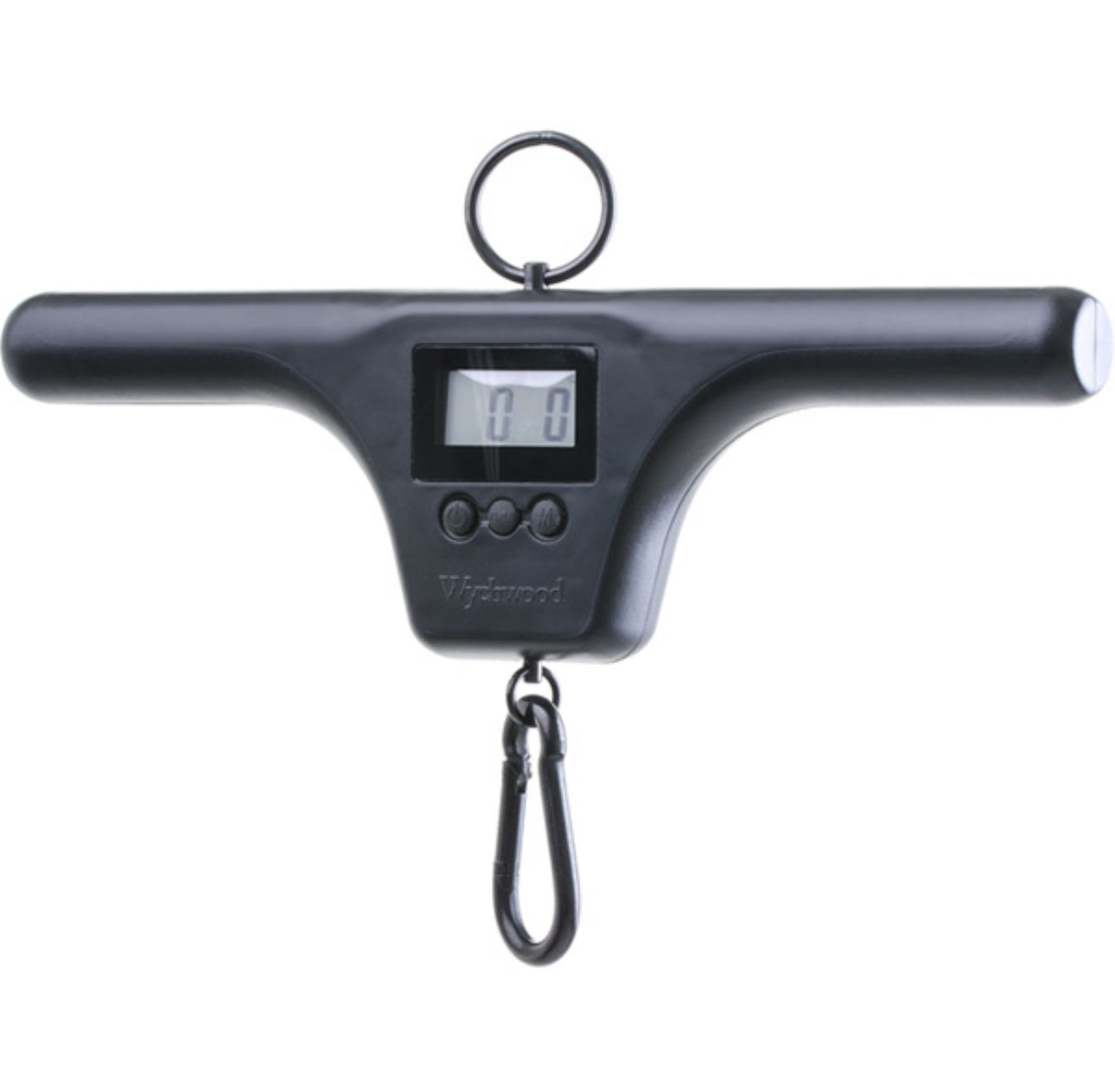 carp fishing angling scales