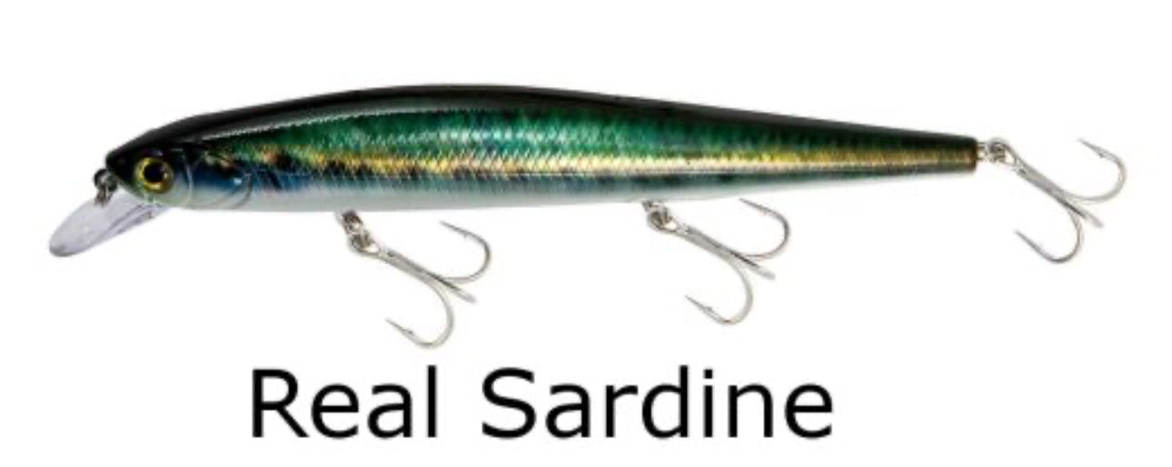 Nomura Sardine - Real Sardine Lure