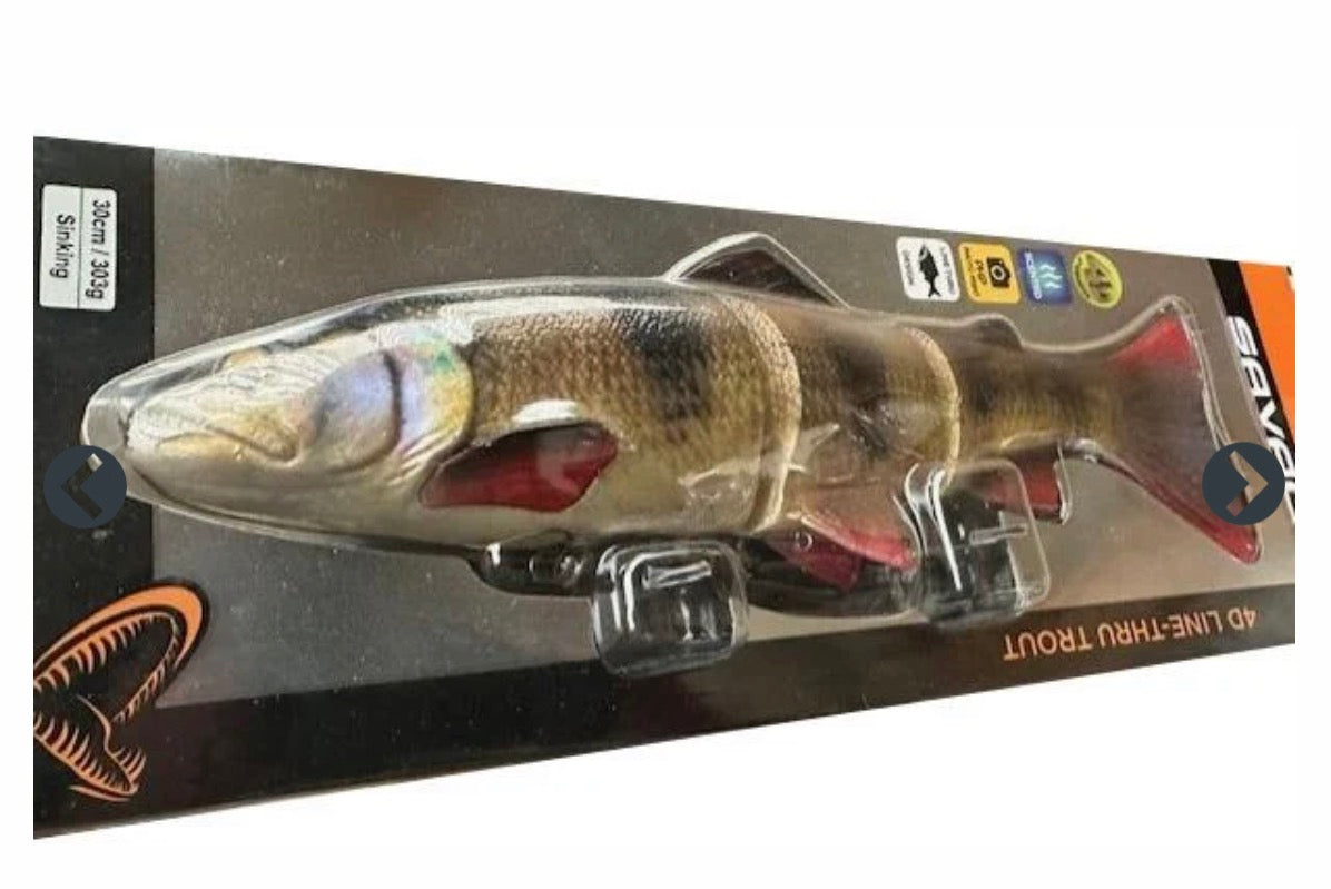 carp fishing angling pike lure